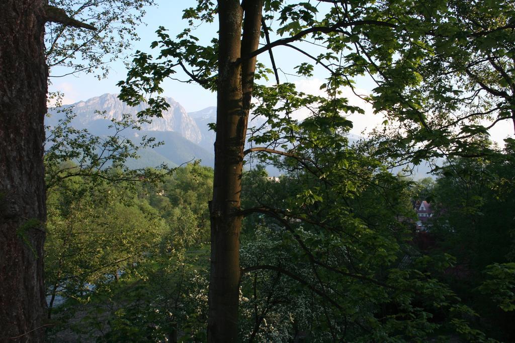 Apartament Cicha Woda Ζακοπάνε Δωμάτιο φωτογραφία
